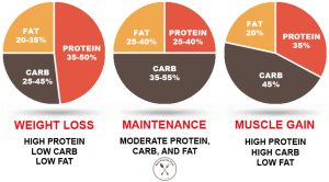 macro calculator for women to lose fat macro calculator for women to lose fat